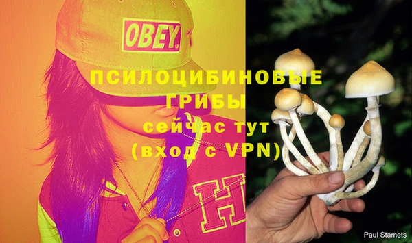 марихуана Арсеньев