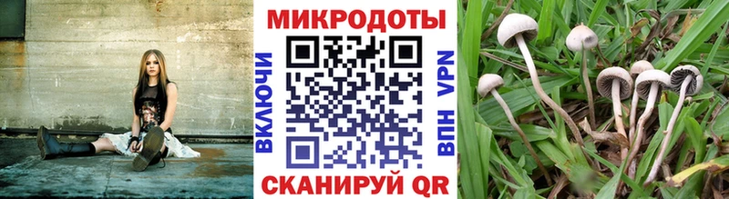 Галлюциногенные грибы прущие грибы  mega онион  Североморск 